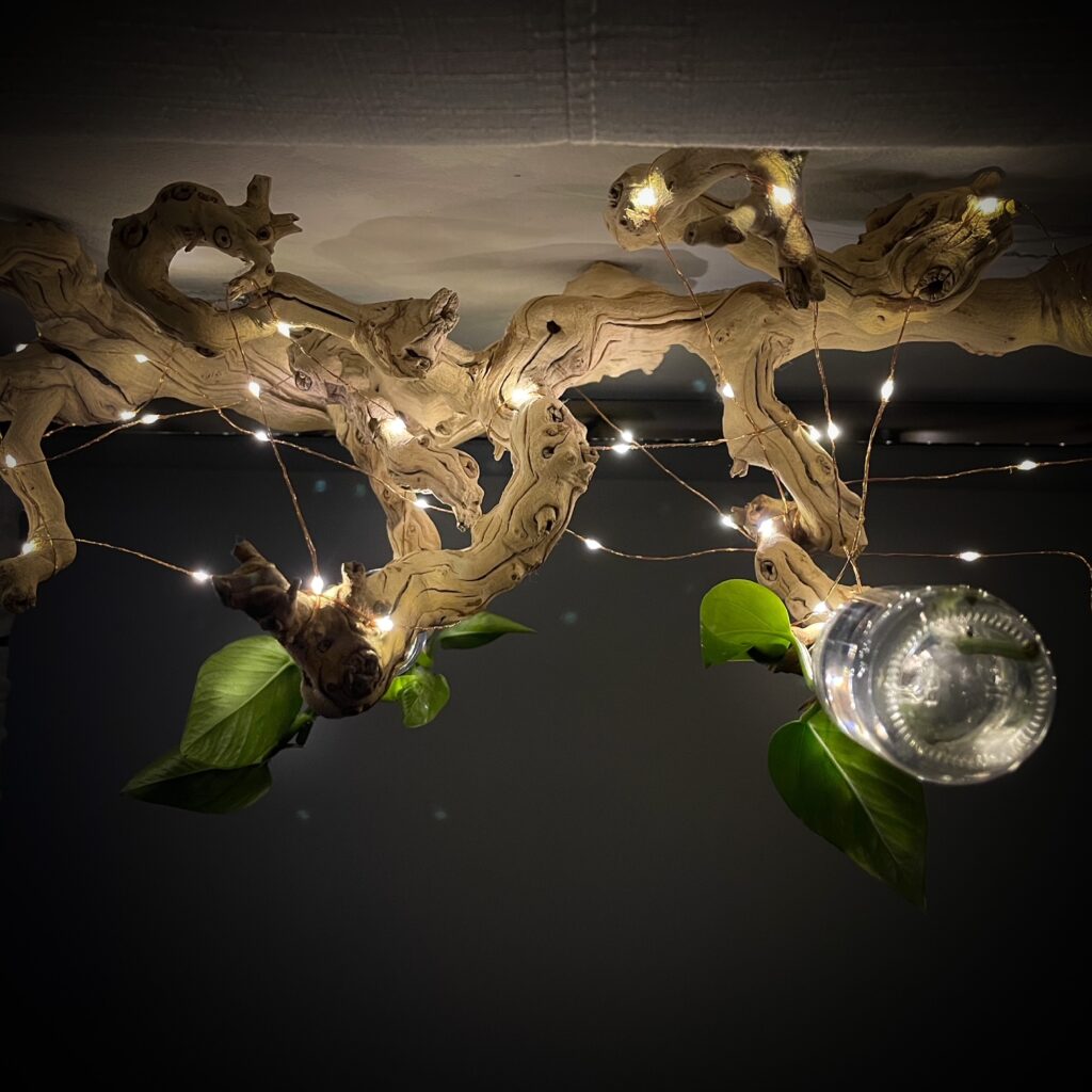 Cozy Home Decor showing drift wood with twinkle lighting.