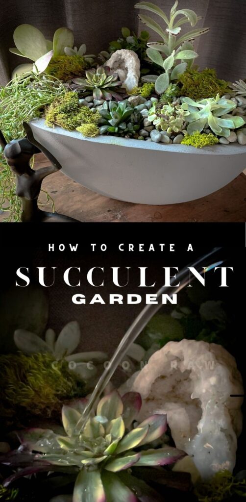 Create a Succulent Garden Pin