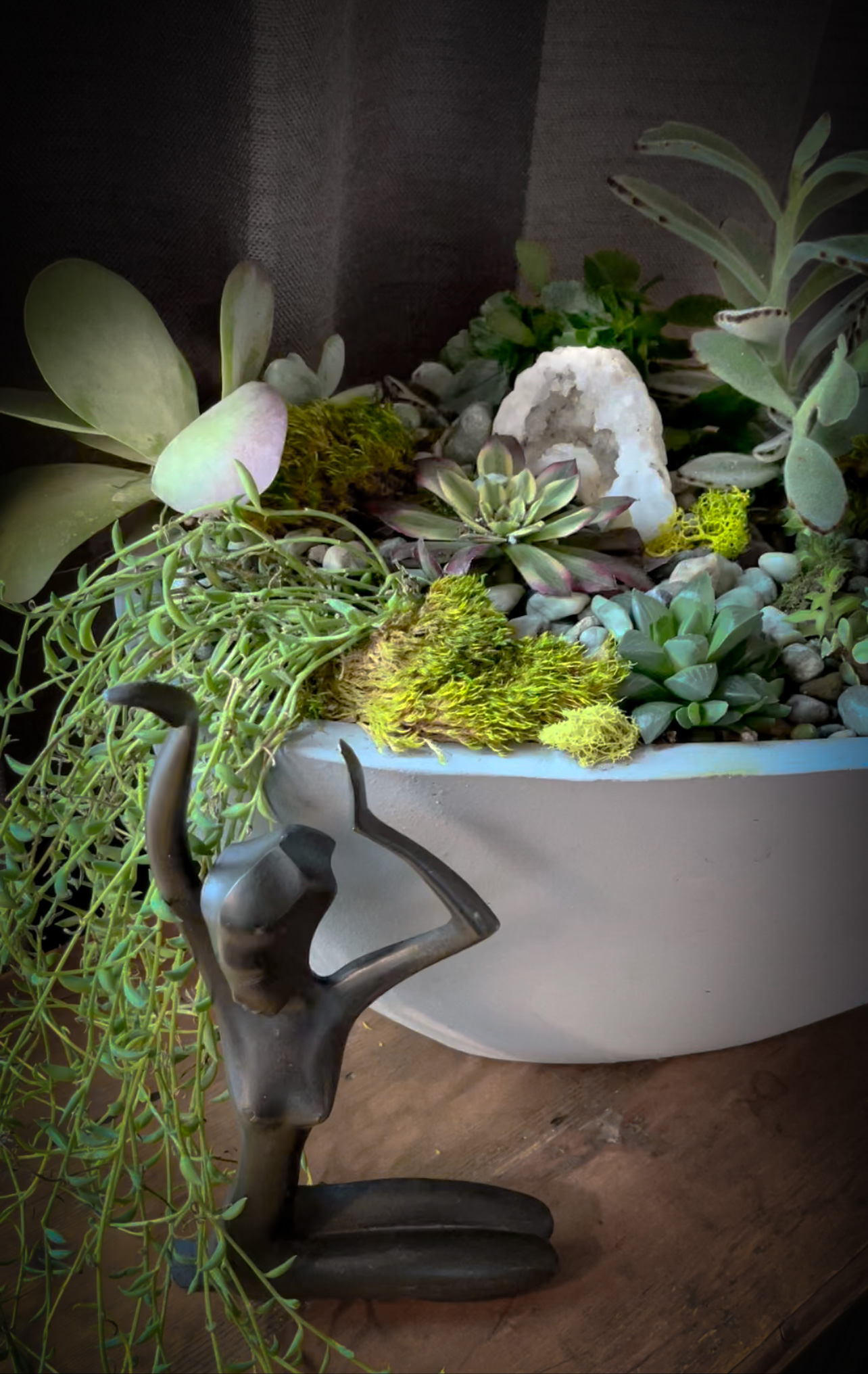How to Make a Succulent Garden DIY