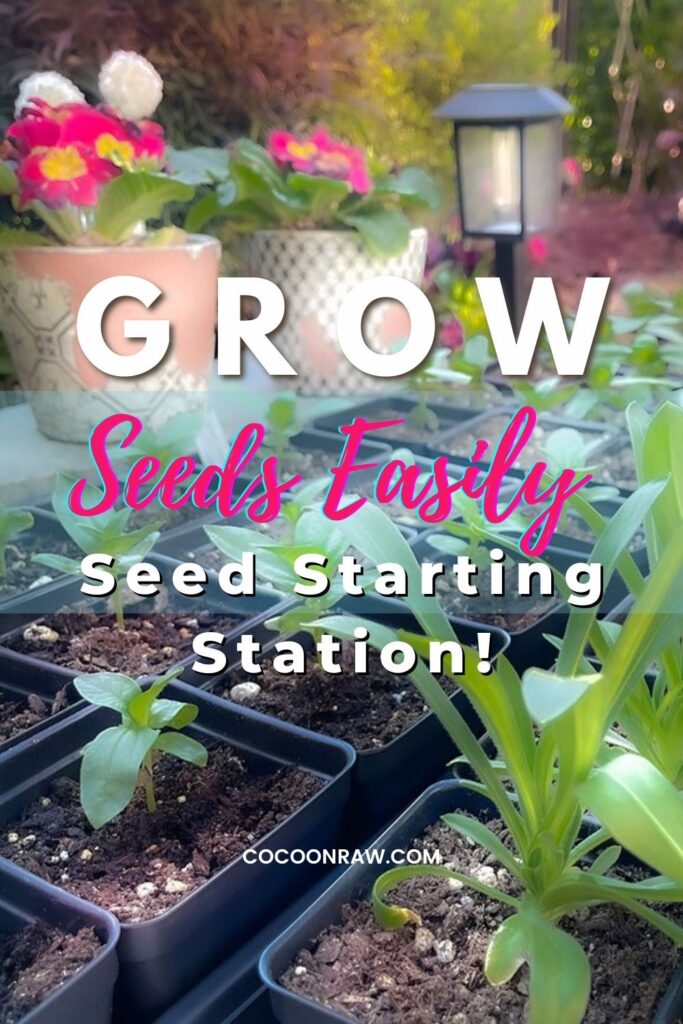 Seed Starting Station