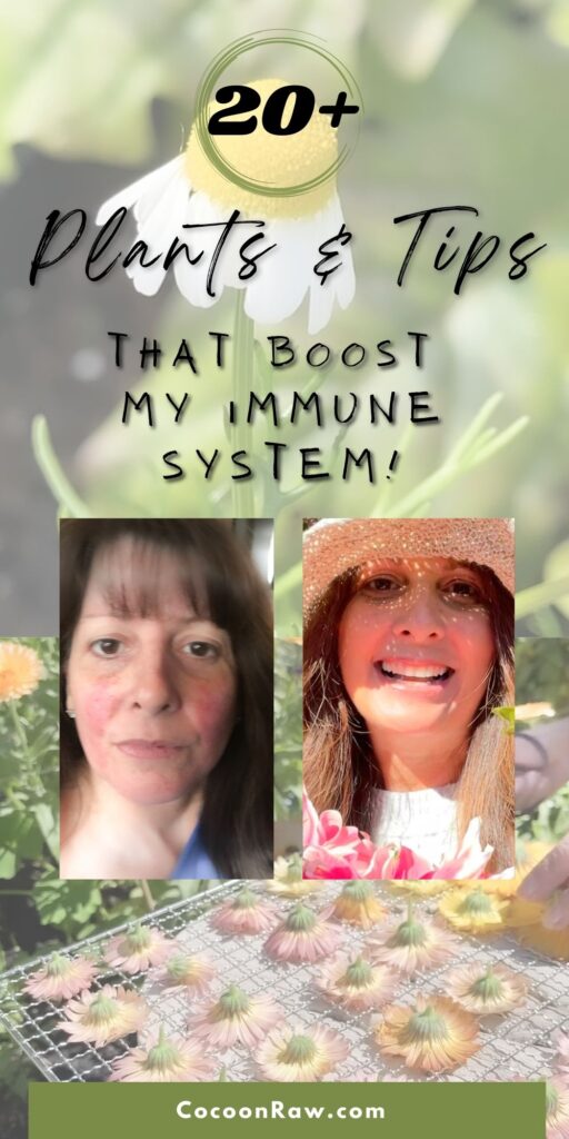 immune system plants