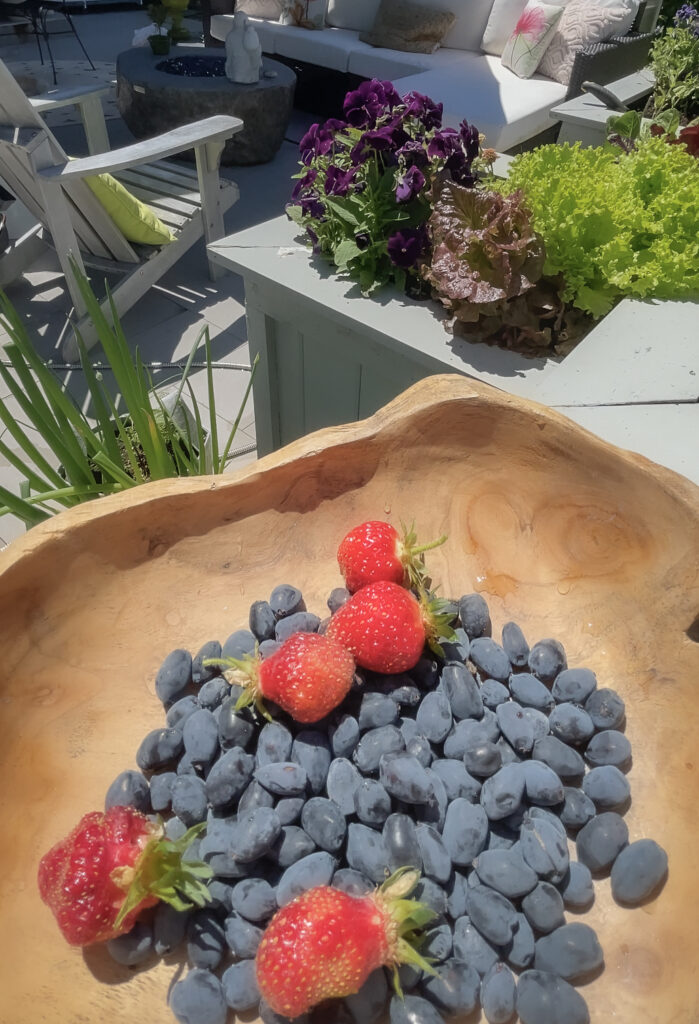blueberry companion vegetables