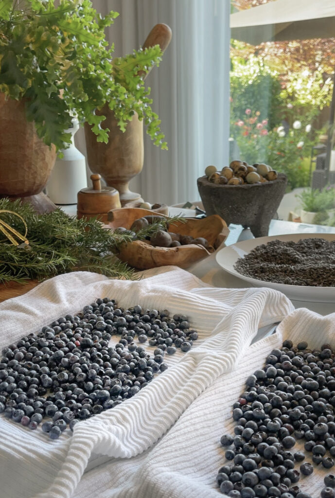can I plant lavender with blueberries