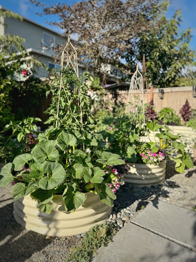 garden design plans
