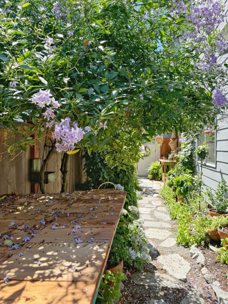 Privacy landscaping between houses