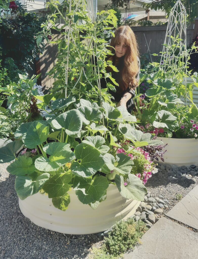 backyard privacy ideas