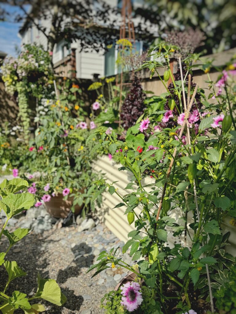 cozy backyard ideas