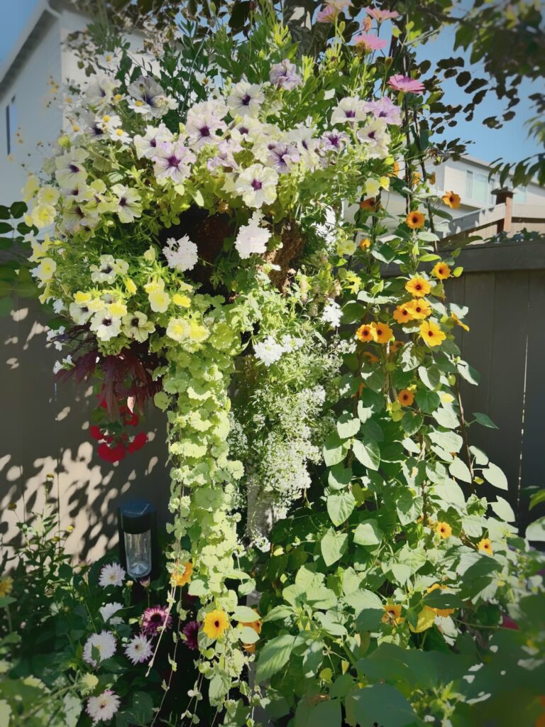 diy garden projects
