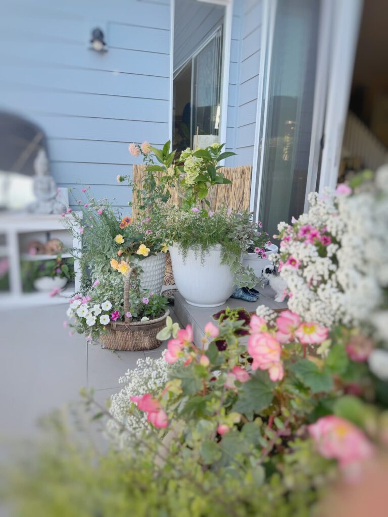 farm gardens