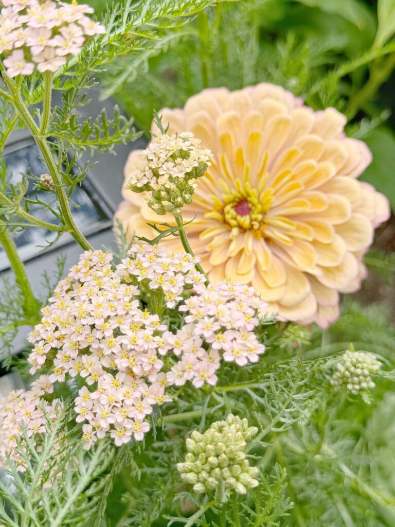 small backyard ideas landscaping