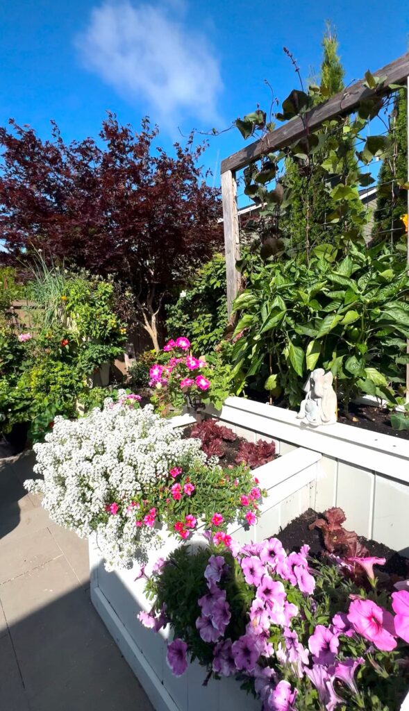 garden planning template