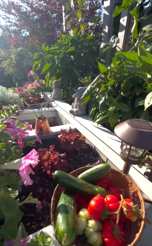 vegetable garden layout planner free
