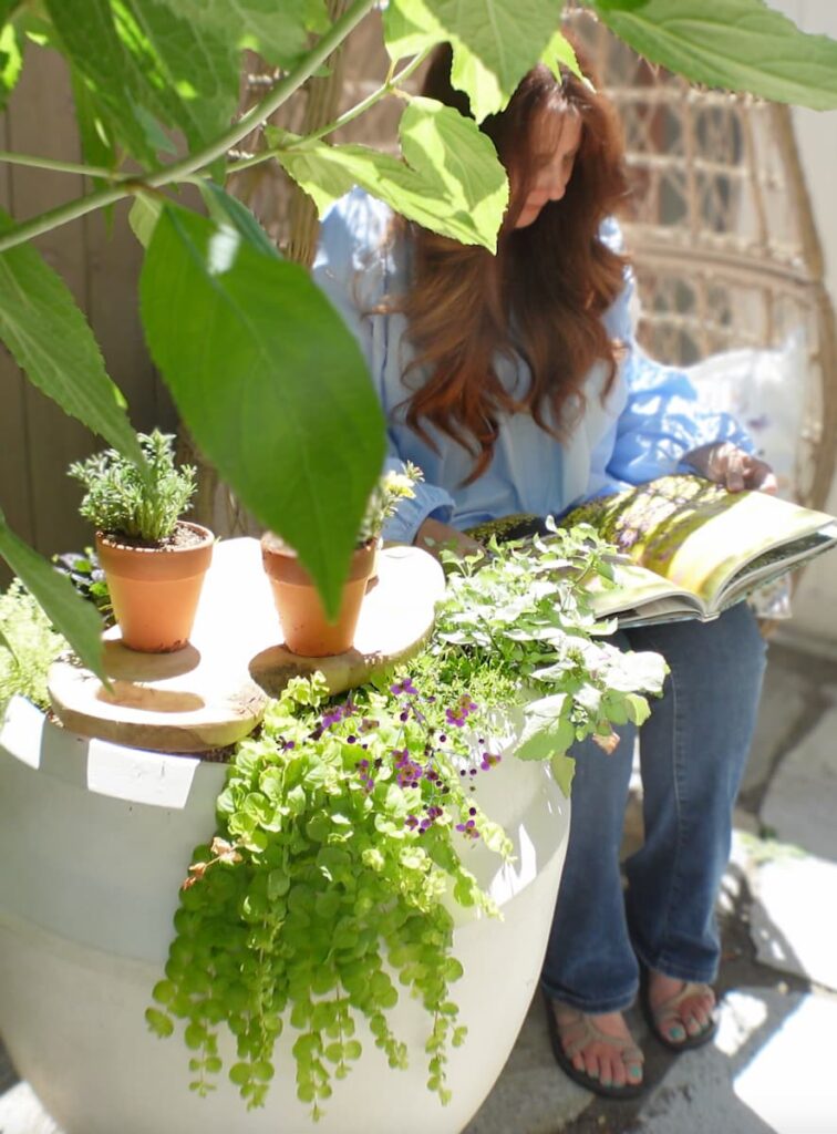 small garden inspiration
