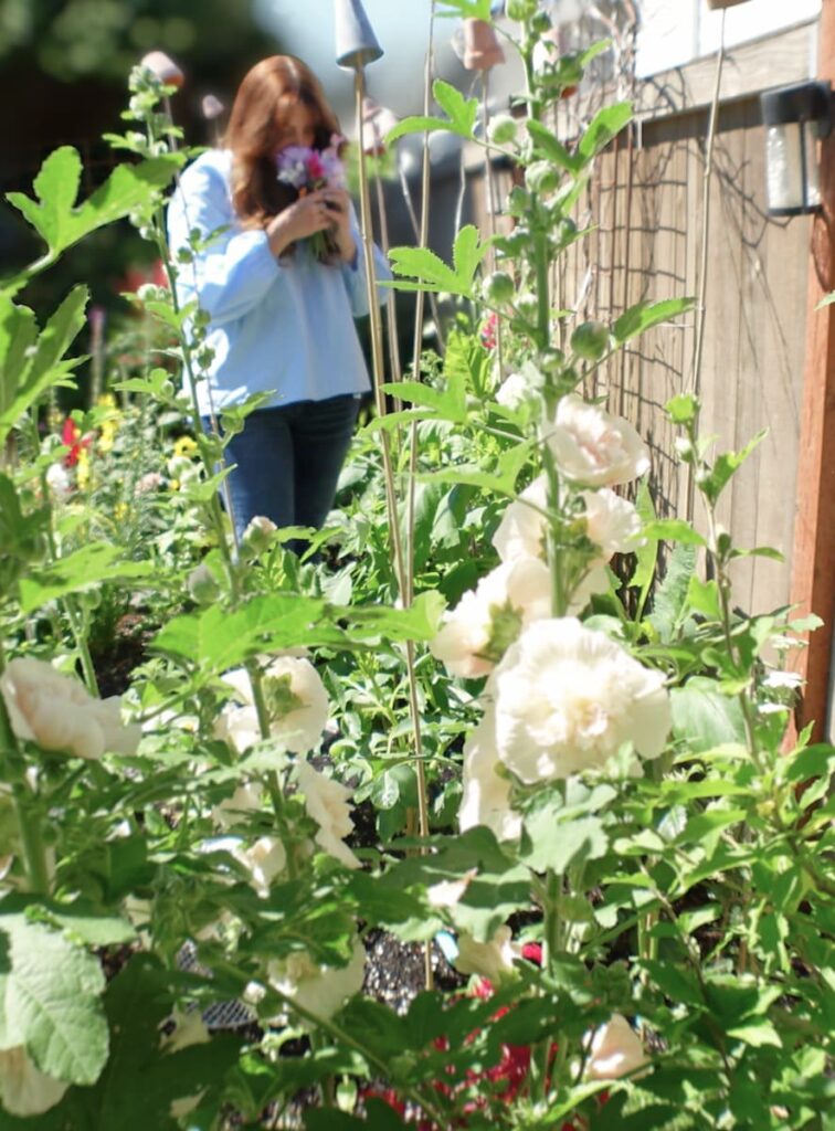 small garden plans